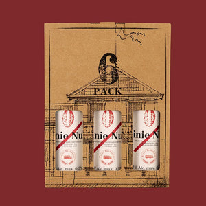 6er Karton gefüllt mit Flaschen.